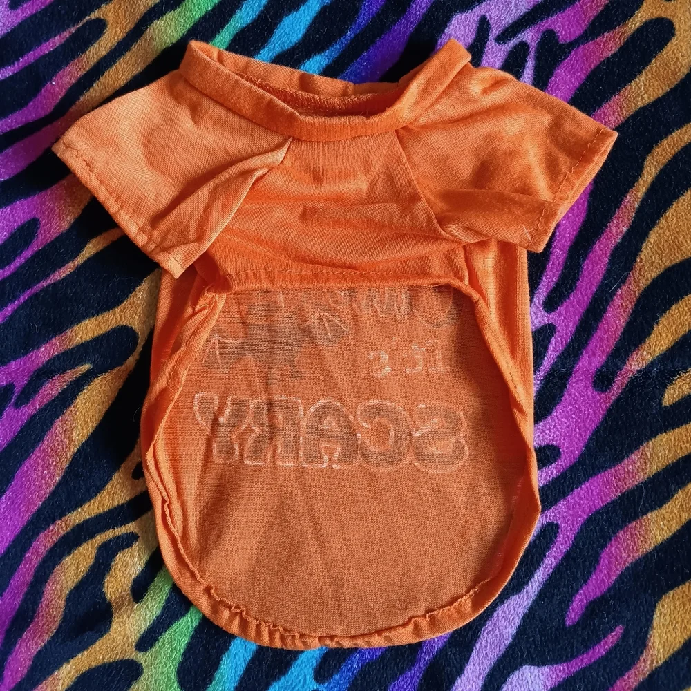 🧡🖤 *4/$15* Halloween Dog T-Shirt XS Orange Black Pet Bat